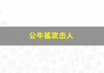 公牛鲨攻击人