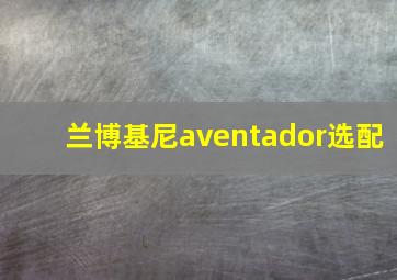 兰博基尼aventador选配