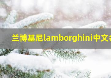 兰博基尼lamborghini中文名