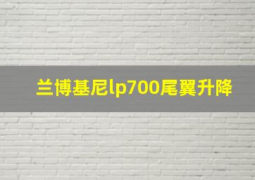 兰博基尼lp700尾翼升降