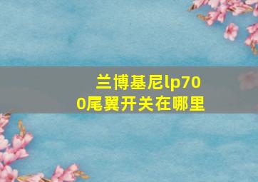 兰博基尼lp700尾翼开关在哪里