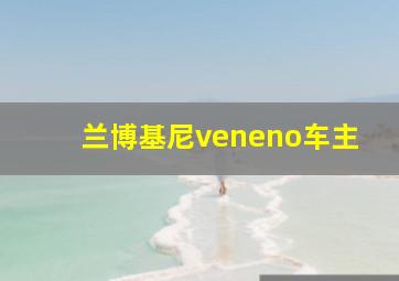 兰博基尼veneno车主