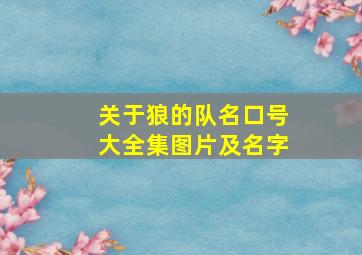 关于狼的队名口号大全集图片及名字