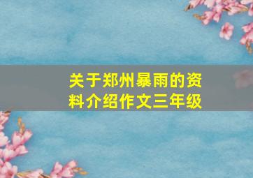 关于郑州暴雨的资料介绍作文三年级