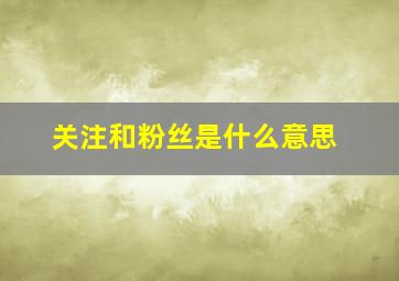 关注和粉丝是什么意思