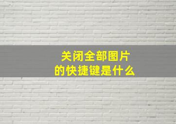 关闭全部图片的快捷键是什么