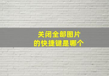 关闭全部图片的快捷键是哪个