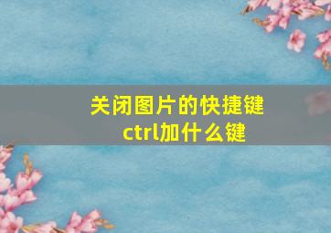 关闭图片的快捷键ctrl加什么键