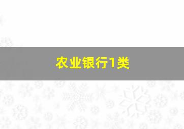 农业银行1类