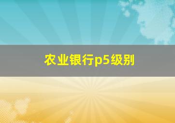 农业银行p5级别