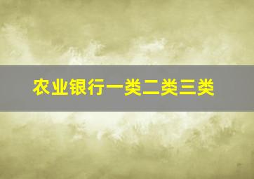 农业银行一类二类三类