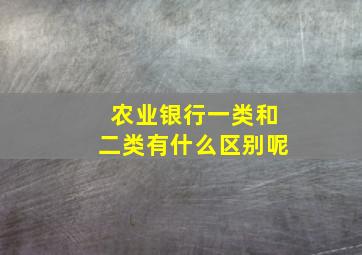 农业银行一类和二类有什么区别呢