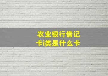 农业银行借记卡i类是什么卡