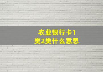 农业银行卡1类2类什么意思