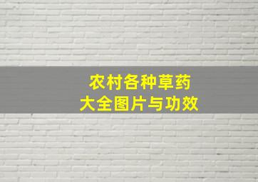 农村各种草药大全图片与功效