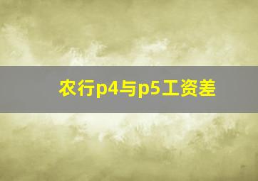 农行p4与p5工资差