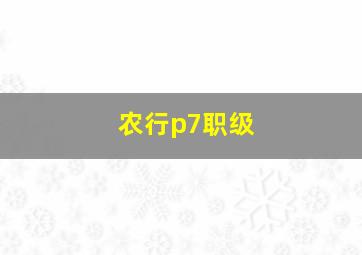 农行p7职级