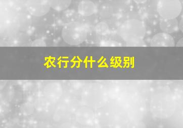 农行分什么级别