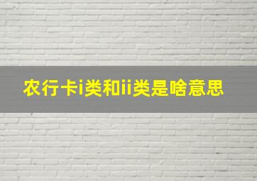 农行卡i类和ii类是啥意思