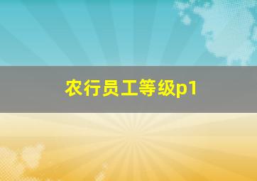 农行员工等级p1