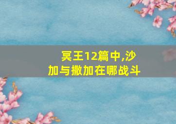 冥王12篇中,沙加与撒加在哪战斗