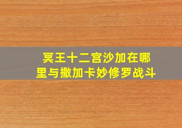 冥王十二宫沙加在哪里与撒加卡妙修罗战斗