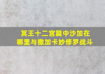 冥王十二宫篇中沙加在哪里与撒加卡妙修罗战斗