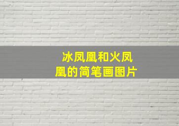 冰凤凰和火凤凰的简笔画图片