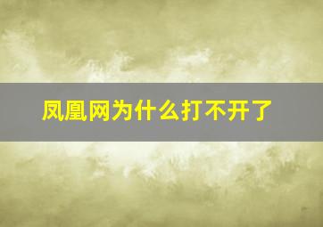 凤凰网为什么打不开了