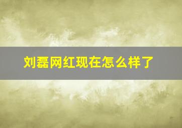 刘磊网红现在怎么样了