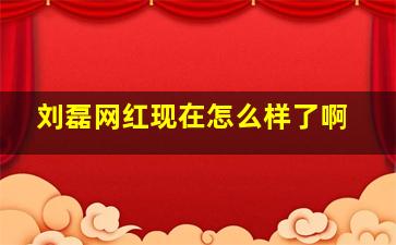 刘磊网红现在怎么样了啊