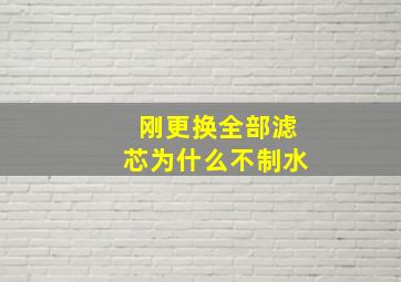 刚更换全部滤芯为什么不制水