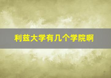 利兹大学有几个学院啊