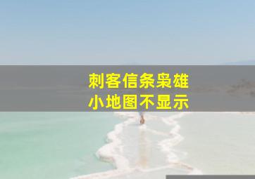 刺客信条枭雄小地图不显示