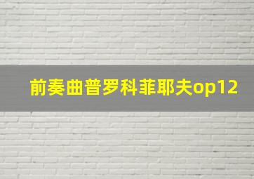 前奏曲普罗科菲耶夫op12