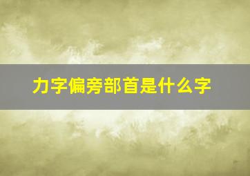 力字偏旁部首是什么字