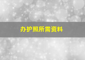 办护照所需资料