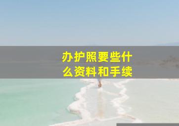 办护照要些什么资料和手续