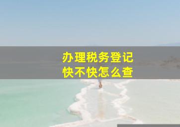 办理税务登记快不快怎么查