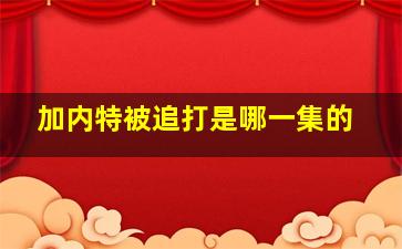 加内特被追打是哪一集的