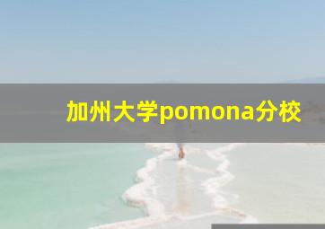 加州大学pomona分校