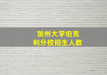 加州大学伯克利分校招生人数