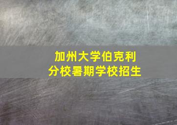 加州大学伯克利分校暑期学校招生