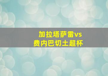 加拉塔萨雷vs费内巴切土超杯