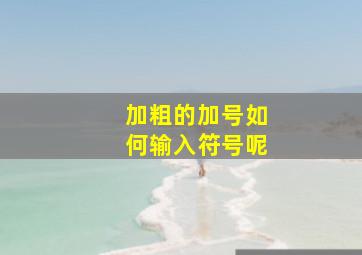 加粗的加号如何输入符号呢