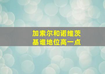 加索尔和诺维茨基谁地位高一点