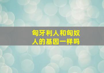 匈牙利人和匈奴人的基因一样吗