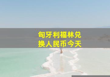 匈牙利福林兑换人民币今天