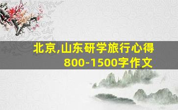 北京,山东研学旅行心得800-1500字作文