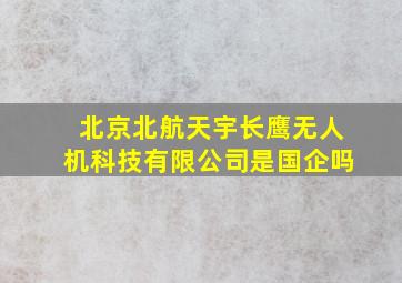 北京北航天宇长鹰无人机科技有限公司是国企吗